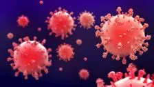 Affenpocken: RKI wart vor neuem Virus - droht eine neue Pandemie?
